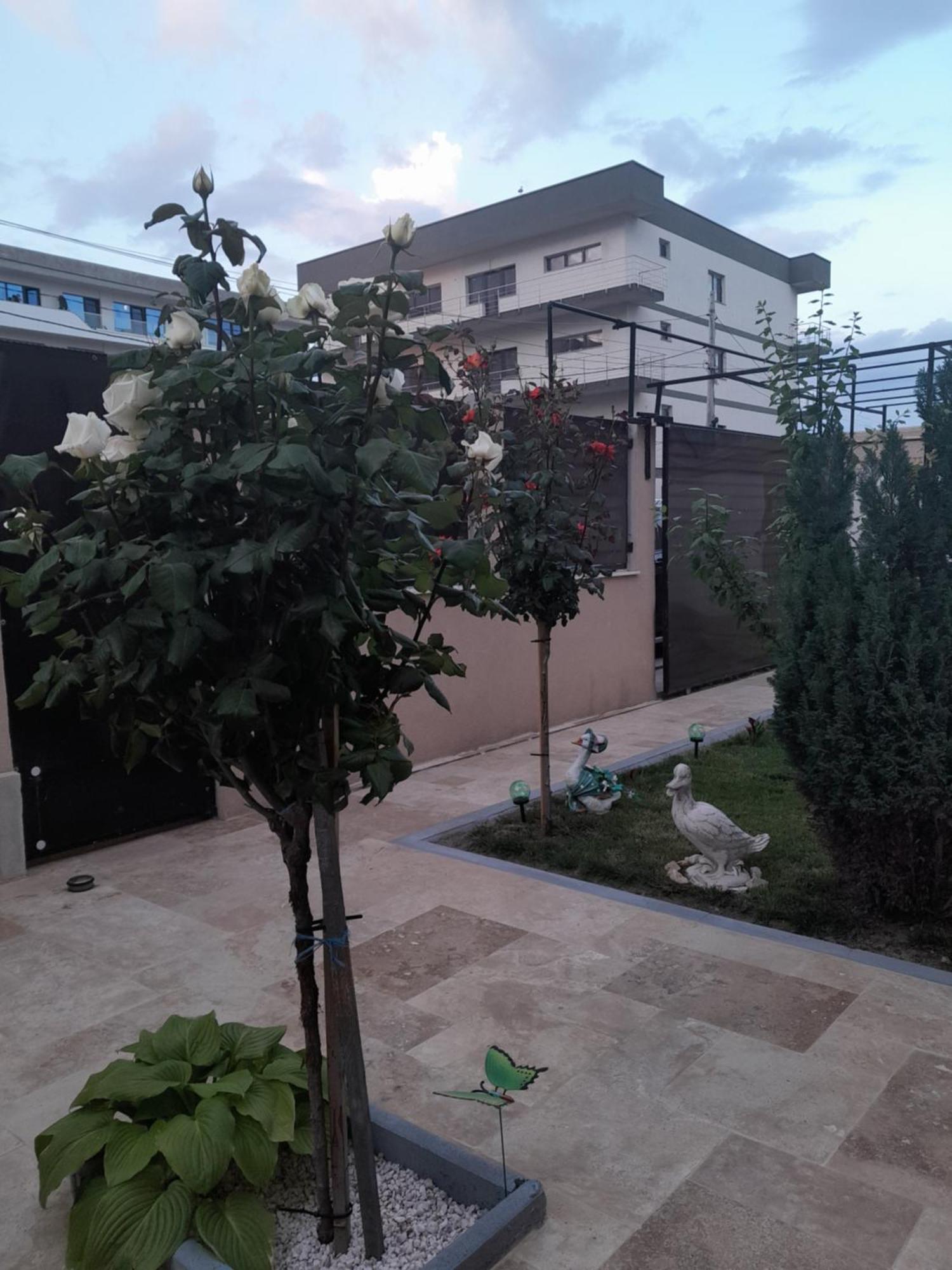 Casa Andrei Apartment Navodari Luaran gambar